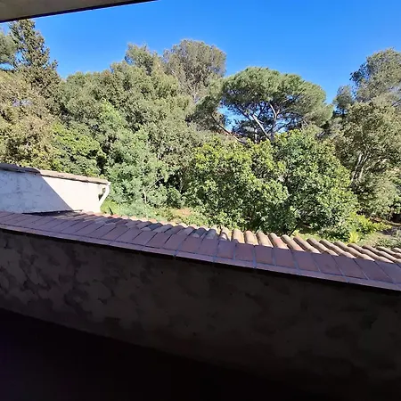 Les Campanules *